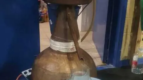 magosto trabazos 2025_17