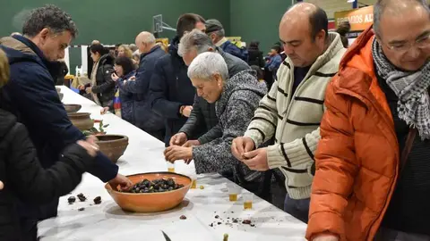 magosto trabazos 2025_18