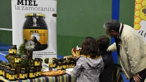 magosto trabazos 2025_25