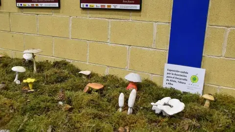 magosto trabazos 2025_31