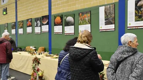 magosto trabazos 2025_35