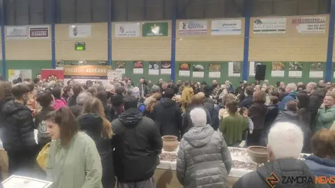 magosto trabazos 2025_39