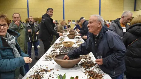 magosto trabazos 2025_40