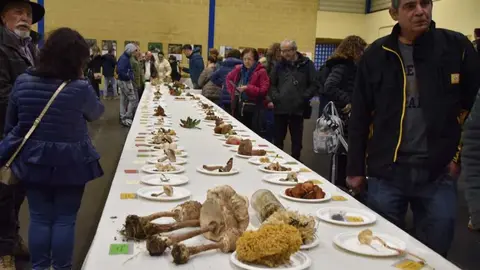 magosto trabazos 2025_43