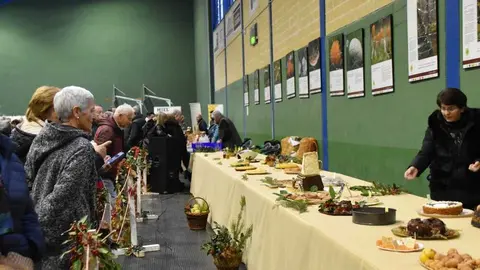 magosto trabazos 2025_44