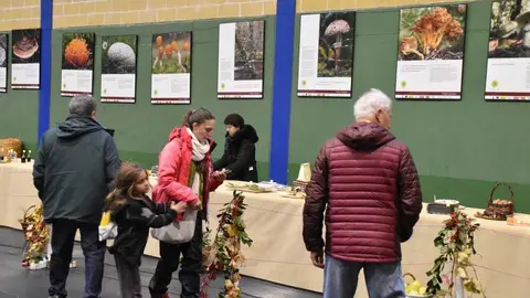 magosto trabazos 2025_51