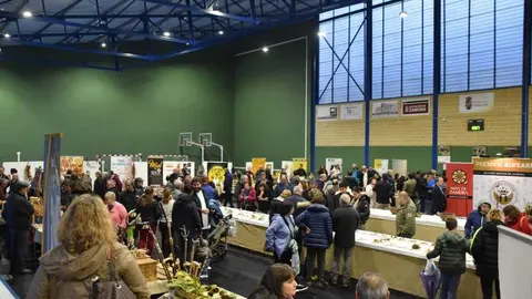 magosto trabazos 2025_52