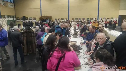 magosto trabazos 2025_58