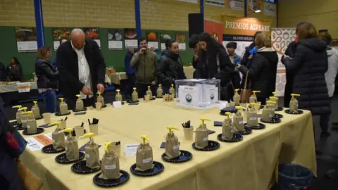 magosto trabazos 2025_63