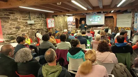 Micología Ayto. Puebla de Sanabria.
