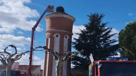 retirada de un nido de Ciguñeña en Entrala  (1)