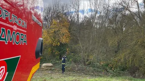 Intervención nido de avispa velutina Milles de la Polvorosa