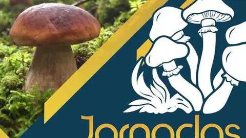 jornadas micologicas