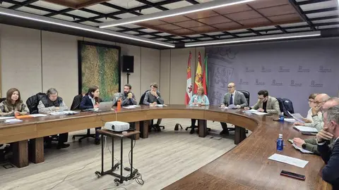 Comisión Patrimonio noviembre