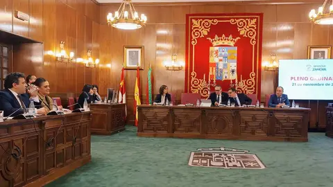 pleno diputación