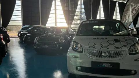 Feria del Automóvil Zamora_13