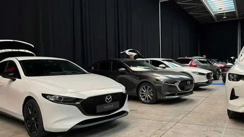 Feria del Automóvil Zamora_23