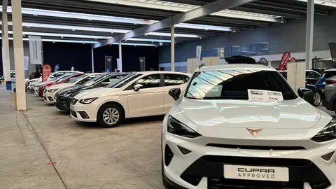 Feria del Automóvil Zamora_28