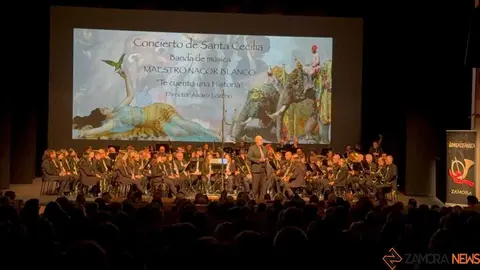 Santa Cecilia ofrecido por la Banda de Música Maestro Nacor Blanco_3