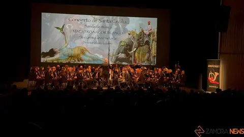 Santa Cecilia ofrecido por la Banda de Música Maestro Nacor Blanco_6