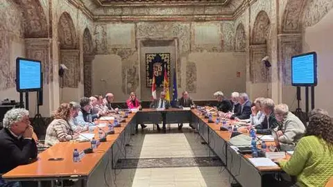 Comisión de los Caminos a Santiago por Castilla y León