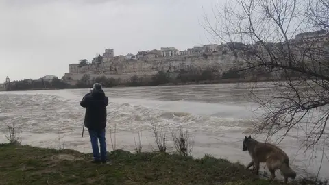 Un ciudadano contempla el río Duero junto a su perro