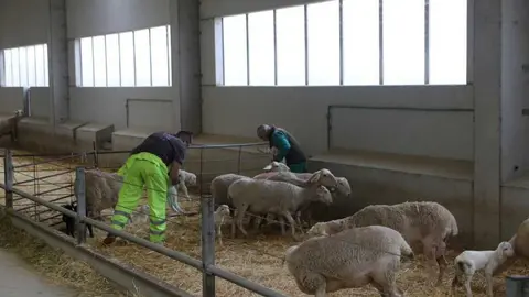  María González Corral visita Vicente Pastor _6