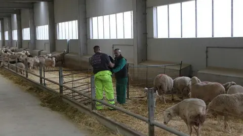  María González Corral visita Vicente Pastor _7