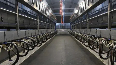  María González Corral visita Vicente Pastor _20