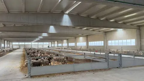  María González Corral visita Vicente Pastor _29