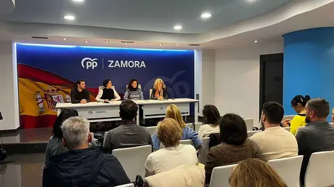 Día internacional contra violencia género PP zamora