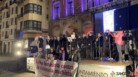 Manifestación 25N Zamora _3