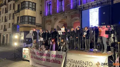 Manifestación 25N Zamora _4