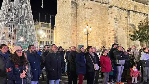 Manifestación 25N Zamora _6