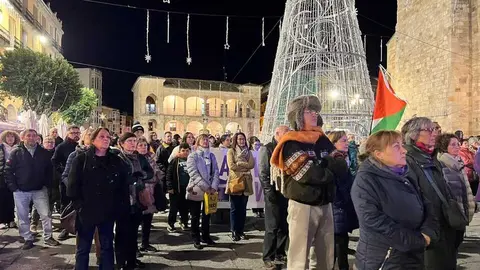 Manifestación 25N Zamora _7