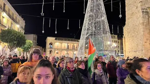 Manifestación 25N Zamora _8