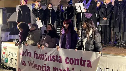 Manifestación 25N Zamora _9