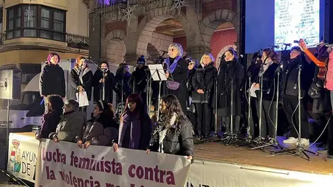 Manifestación 25N Zamora _12