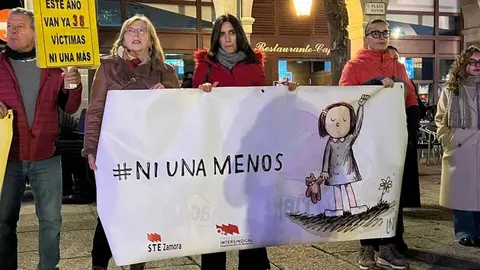 Manifestación 25N Zamora _15