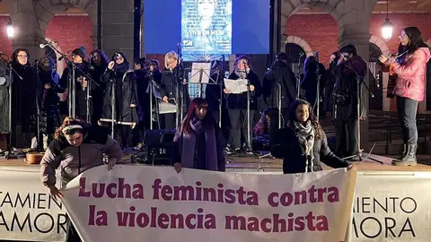 Manifestación 25N Zamora _19