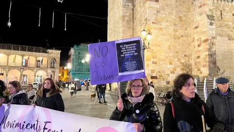 Manifestación 25N Zamora _22