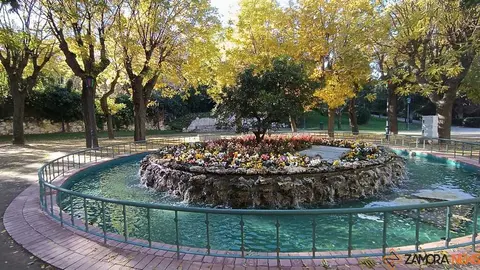 Fuentes con flores