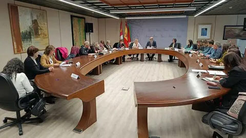 Comisión Territorial Violencia de género Zamora