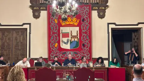 Pleno Ayuntamiento de Zamora