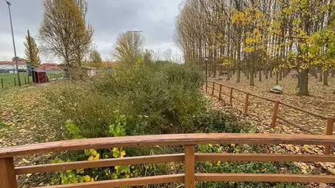 cauce Río en San Pedro de Ceque  (1)