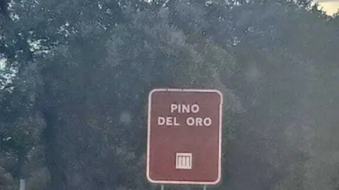 Pino del Oro