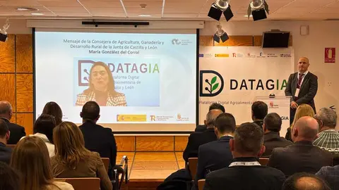 WhatsApp+Image+2025-12-01+at+13.04.42