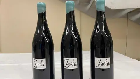 Vinos de la Sierra de la Culebra _19