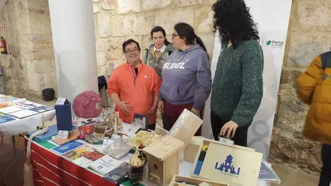 D&iacute;a Internacional de la Discapacidad Zamora _4