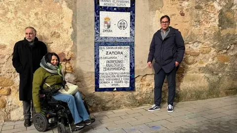 Proyecto Artesanía en Olivares.